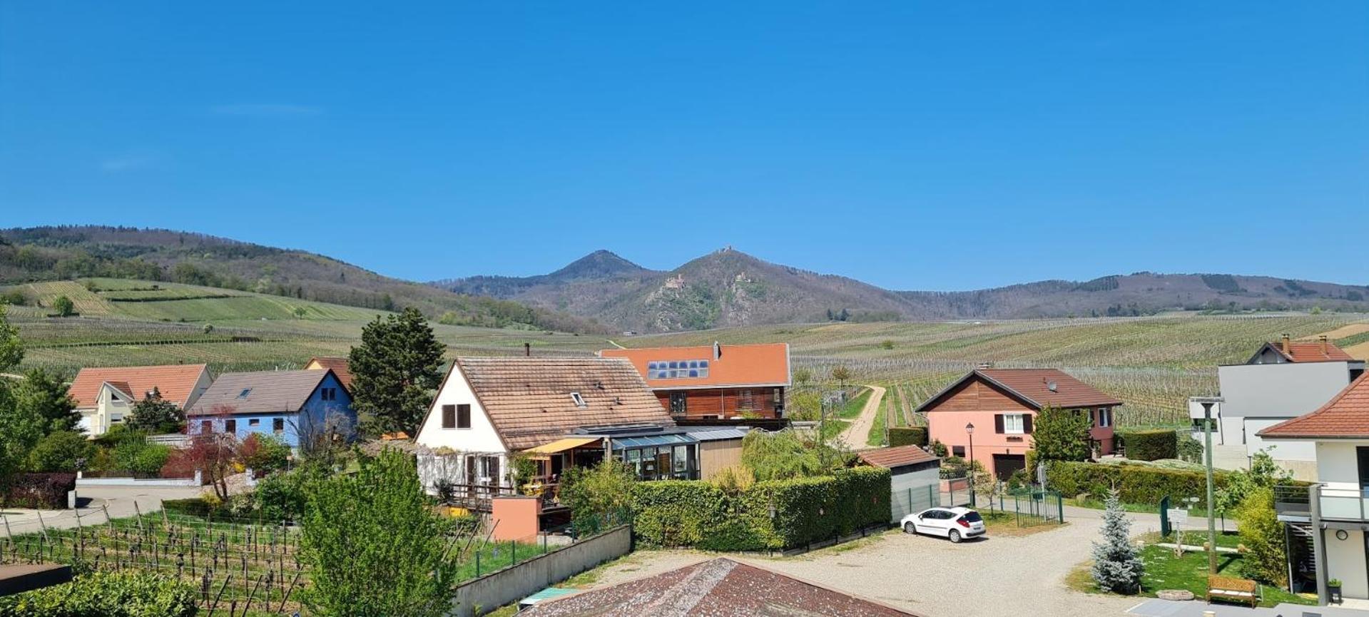 Maison D'Hotes Sainte Hune Appartements Hunawihr Cameră foto